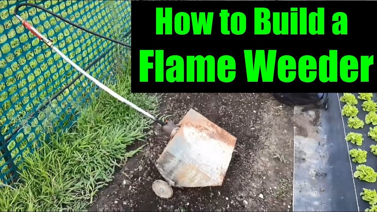 Flame Weeder !!!