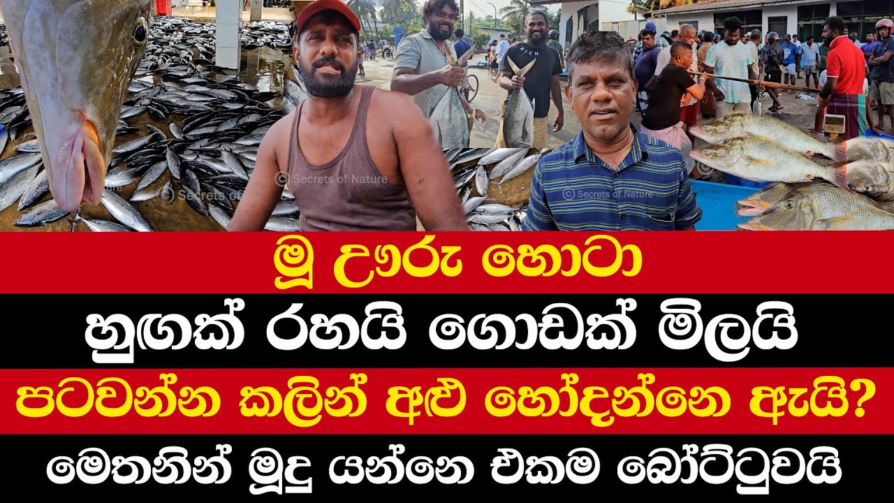 මූ ඌරු හොටා | හුඟක් රහයි ගොඩක් මිලයි | පටවන්න කලින් අළු හෝදන්නෙ ඇයි?