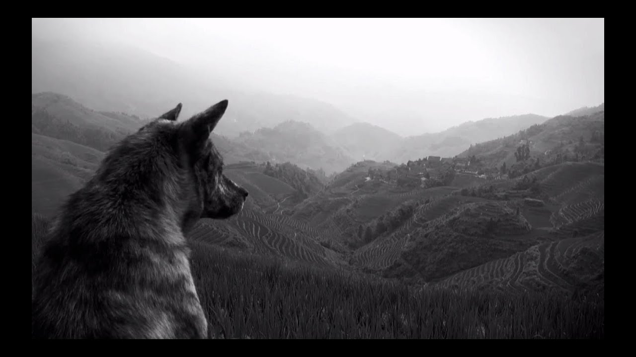 The Joy Formidable - Wolf's Law [Official Video]
