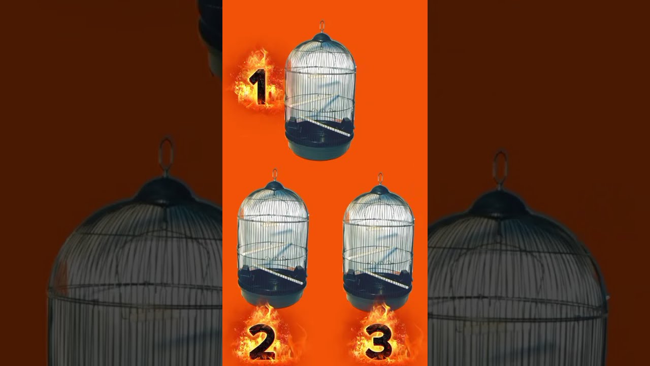 সবচেয়ে বুদ্ধিমান ছেলেকে দেখা যাবে এবার 😱 part 3#shortlive#live