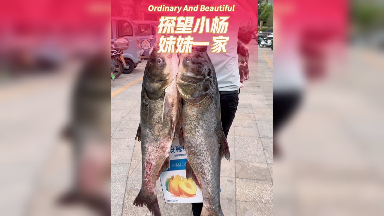 钓鱼认了个好妹妹让我无比开心，带两条大鱼去探望她一家，没想到妹妹还有一手好厨艺
