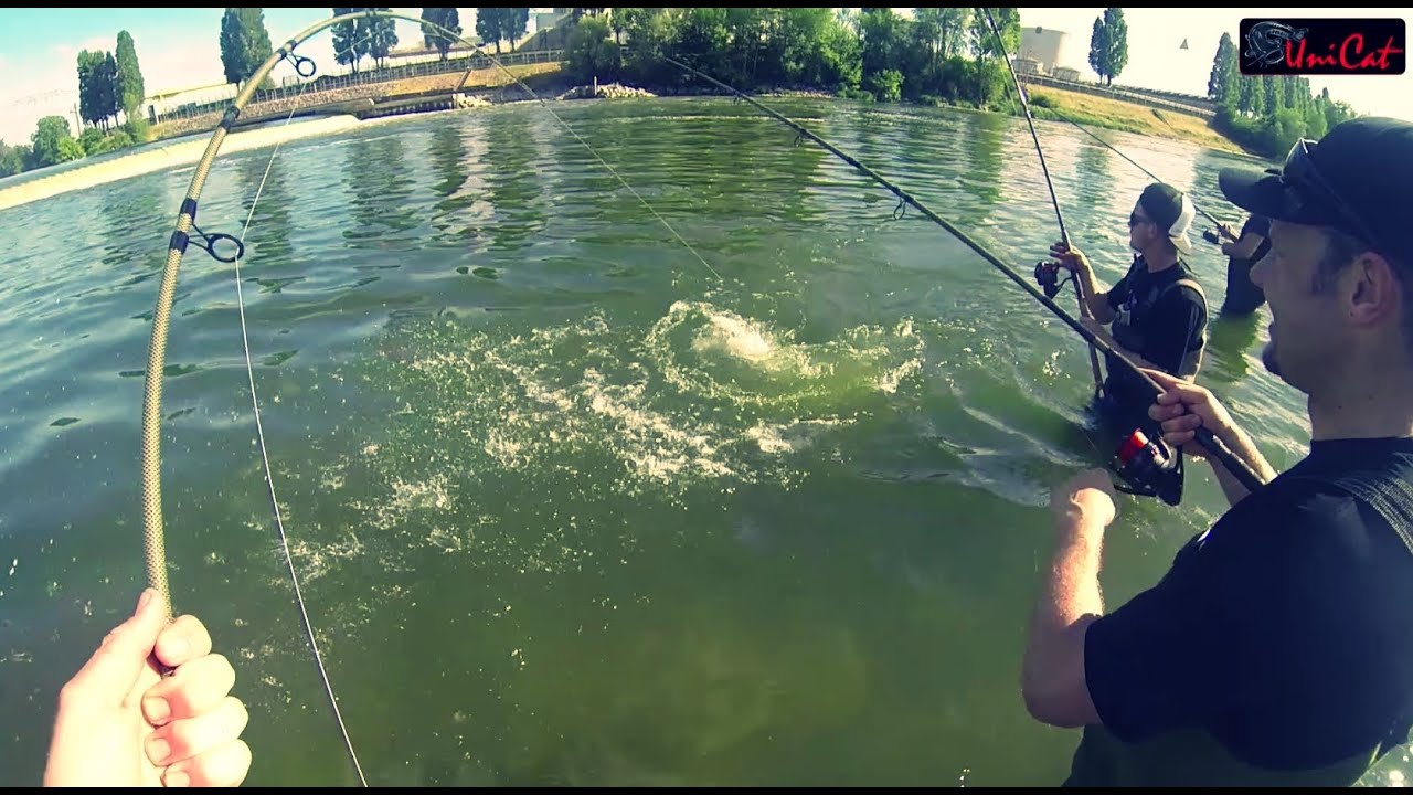 Wallerangeln mit Blinker (Uni Cat Welsblinker erfolgreich im Test) New Age Spin, X Drag VS 7000i