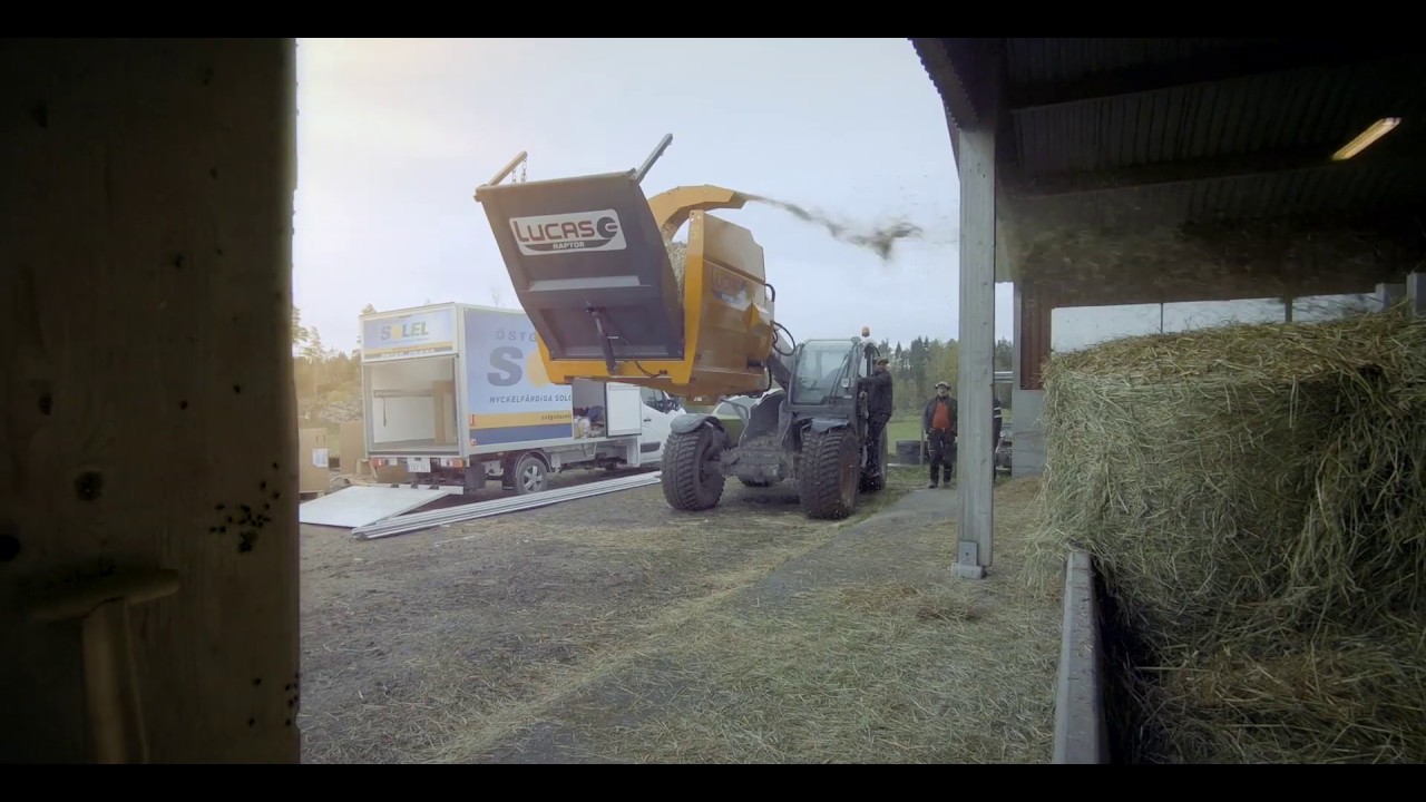 Halm & baldistribution - Lucas G. Raptor