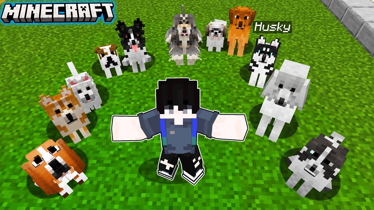 I Adopt ALL REALISTIC DOGS in Minecraft | OMO City