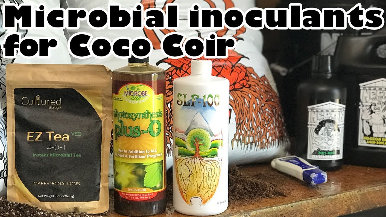 Do you need a different microbial regimen if you're growing with coco coir? | OCGFAM497