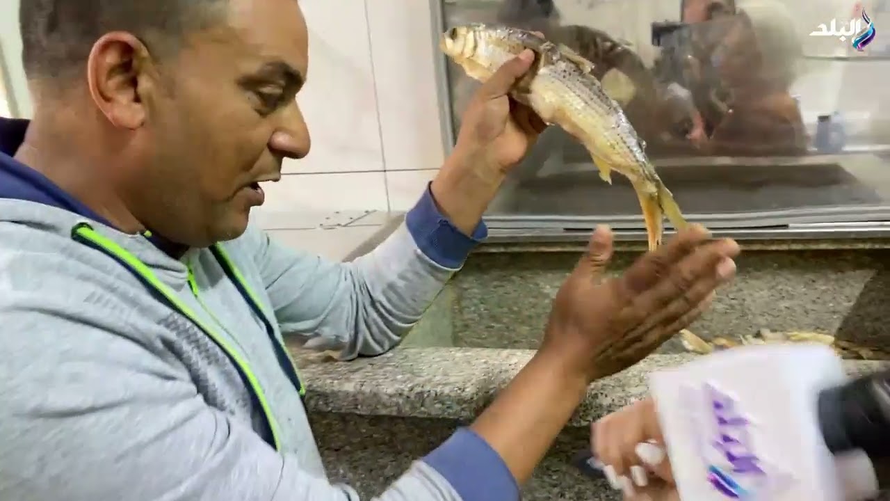 كلب البحر.. سمكة بناكلها من سنين ومنعرفش اسمها