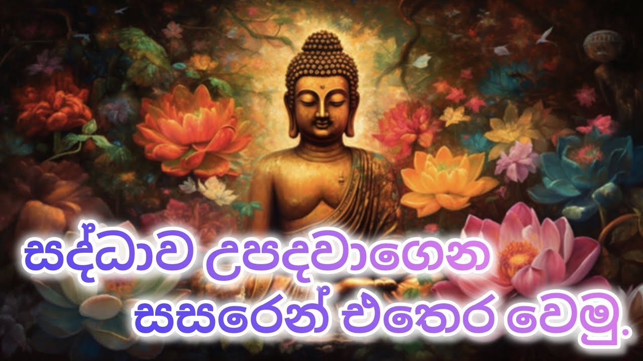 සද්ධාව උපදවාගෙන සසරෙන් එතෙර වෙමු🪷 | dharma deshana 2026 | Aarya maga | sinhala video | Loard Buddha