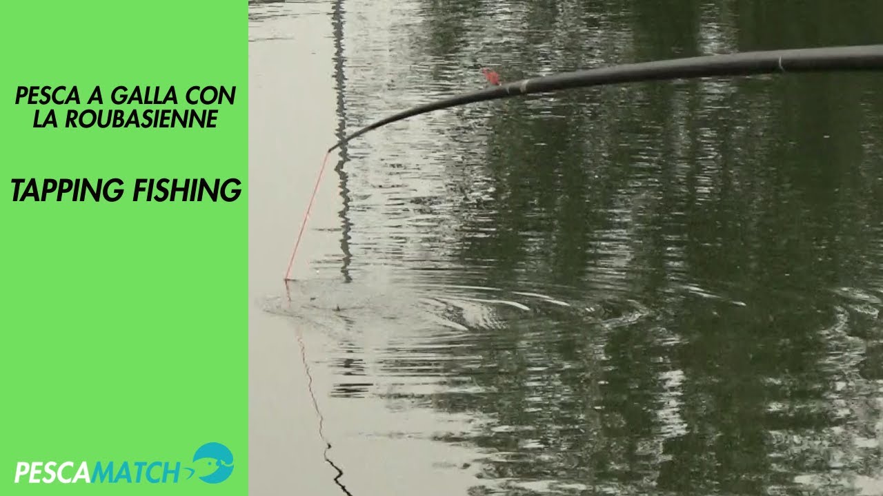 Pesca a GALLA con la Roubasienne | Tapping Fishing