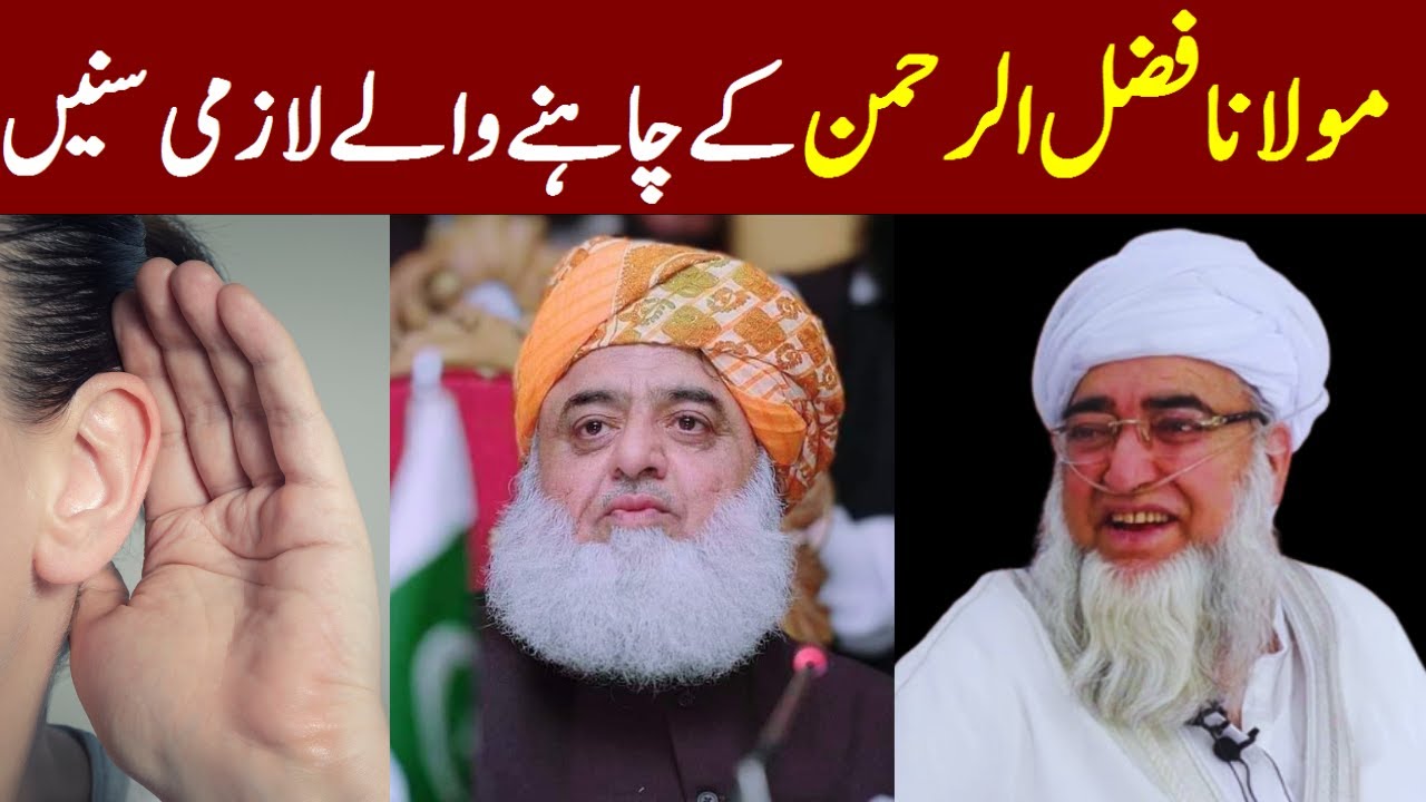 Mufti Zarwali Khan about Maulana Fazlur Rehman | the truth about picture