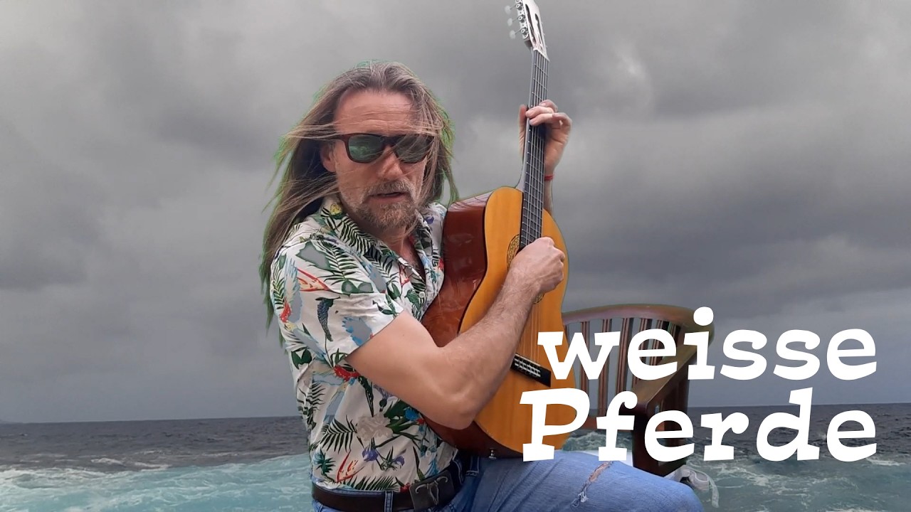 weiße Pferde
