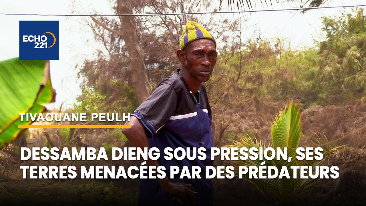 Urgence à Tivaouane peulh : Les terres de Dessamba Dieng en danger 