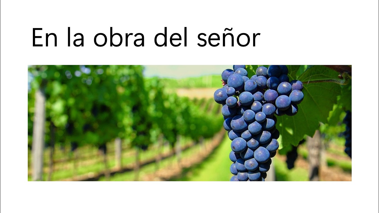 En la obra del Señor - Gustavo Robles