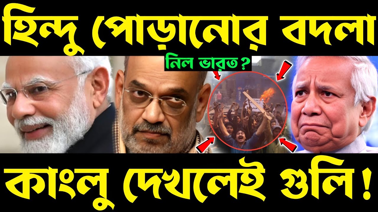 দেখ কেমন লাগে! india revenge | india action on bangladesh | bsf india bangladesh border