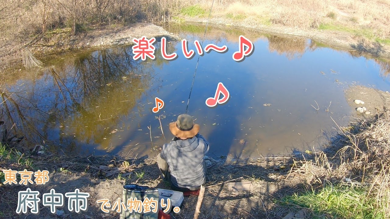冬は多摩川の野池が面白い！！  東京都 府中市で小物釣り。