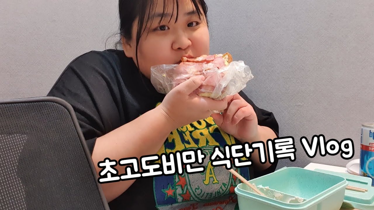 배달음식 폭식안한지 2주째 / 적당히 먹기 / 감태계란김밥, 샌드위치, 치킨, 고기샐러드