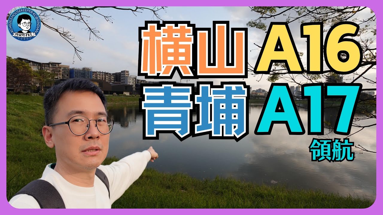 青埔限高區A17領航，充滿生活感的橫山書法公園，A16生態重劃區，進展如何？