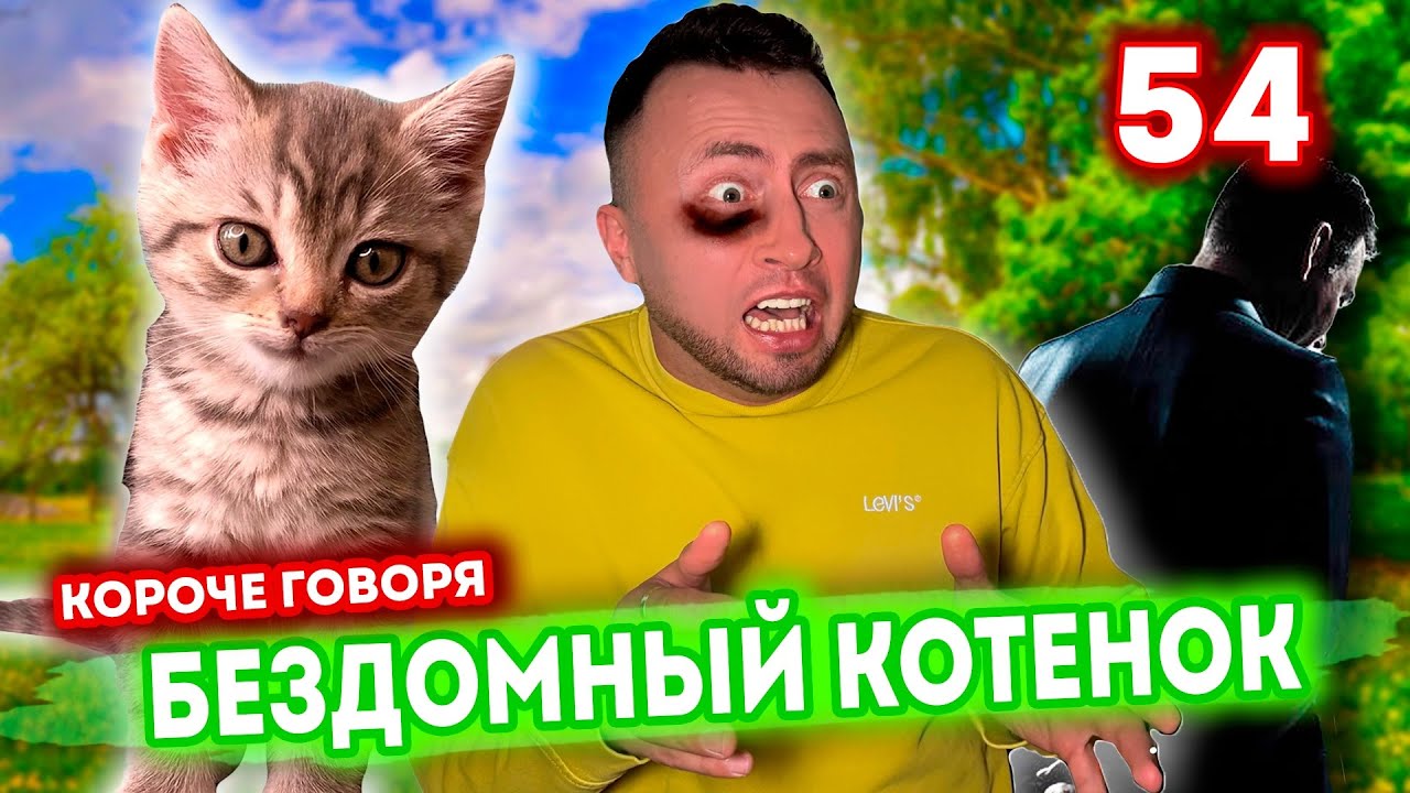 КОРОЧЕ ГОВОРЯ, Я БЕЗДОМНЫЙ КОТЕНОК 54 - ИСТОРИЯ ОДНОЙ ЖИЗНИ - Новая серия