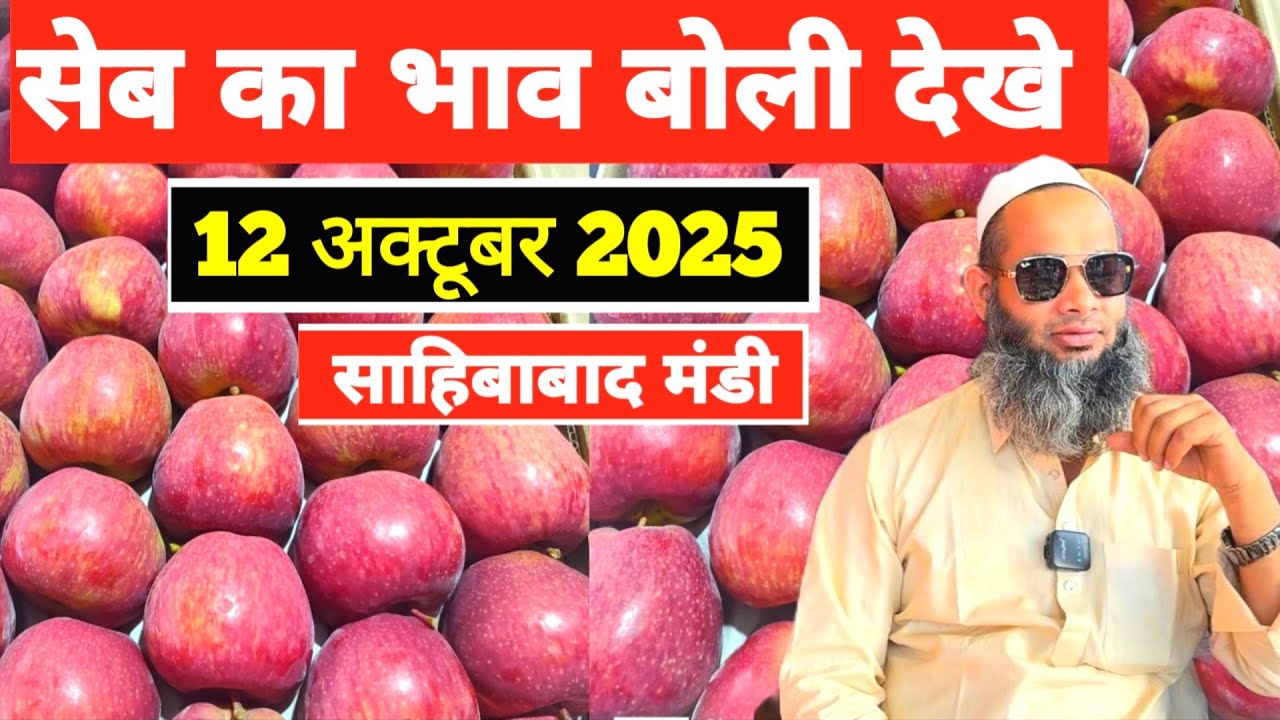 12 October 2025 🍎सेब की बोली देखे साहिबाबाद मंडी | today apple oction #apple  #mandirates