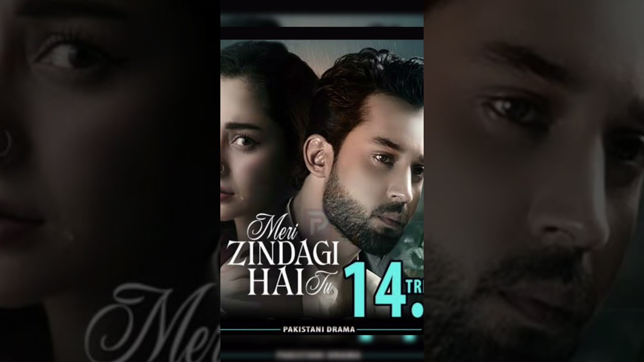 Meri zindagi hai tu song❤️