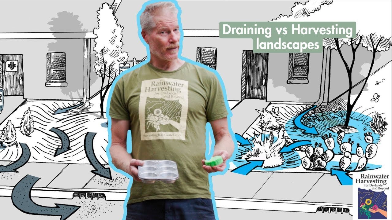 Rainwater Harvesting Basics: A Simple Muffin Tin Metaphor