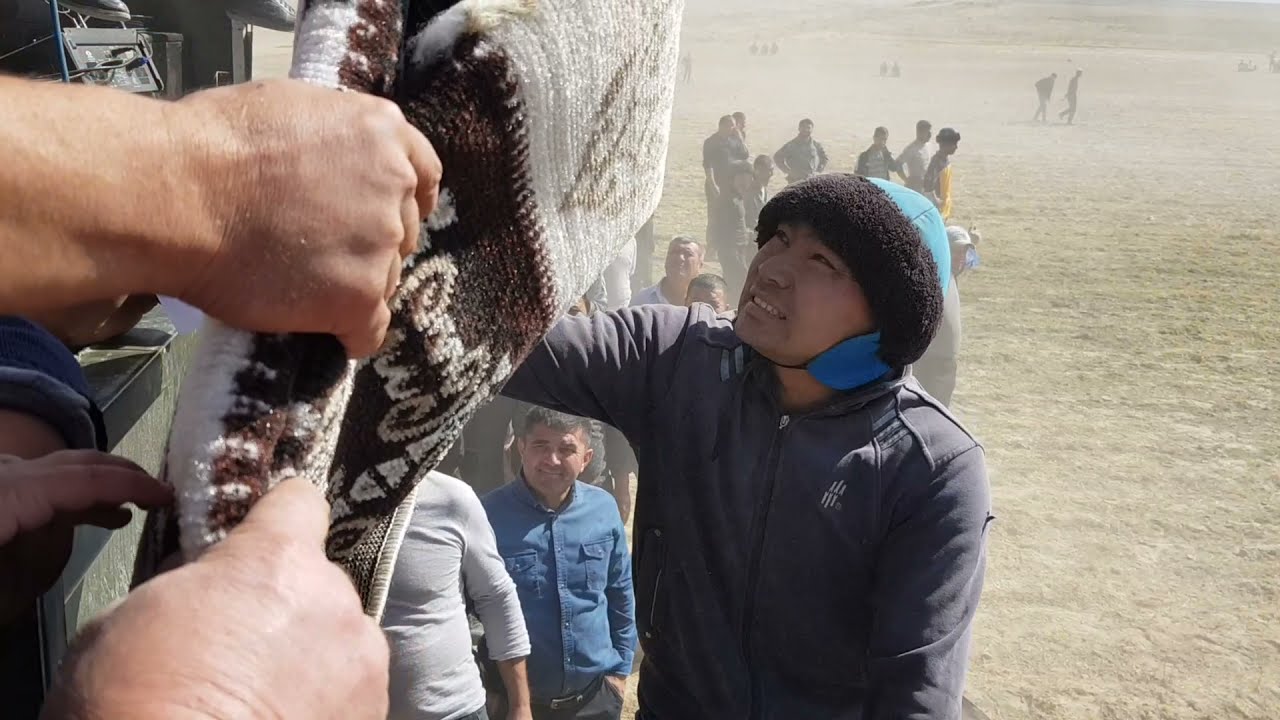 ULOQ KUPKARI😱👍NAMANGAM CHORTOQ ALIHAN.УЛОК КУПКАРИ НАМАНГАН ЧОРТОК.#Uloq#Otlar#Horse#Otbozor#Лошад#