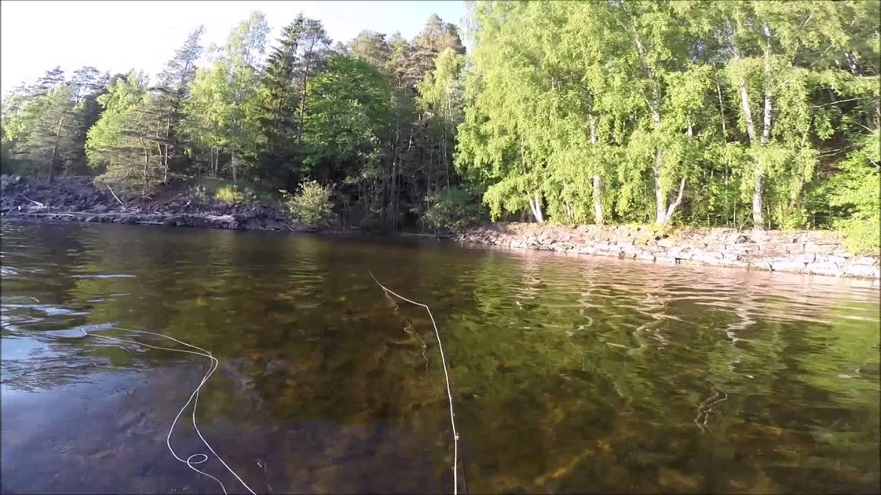 Randselva