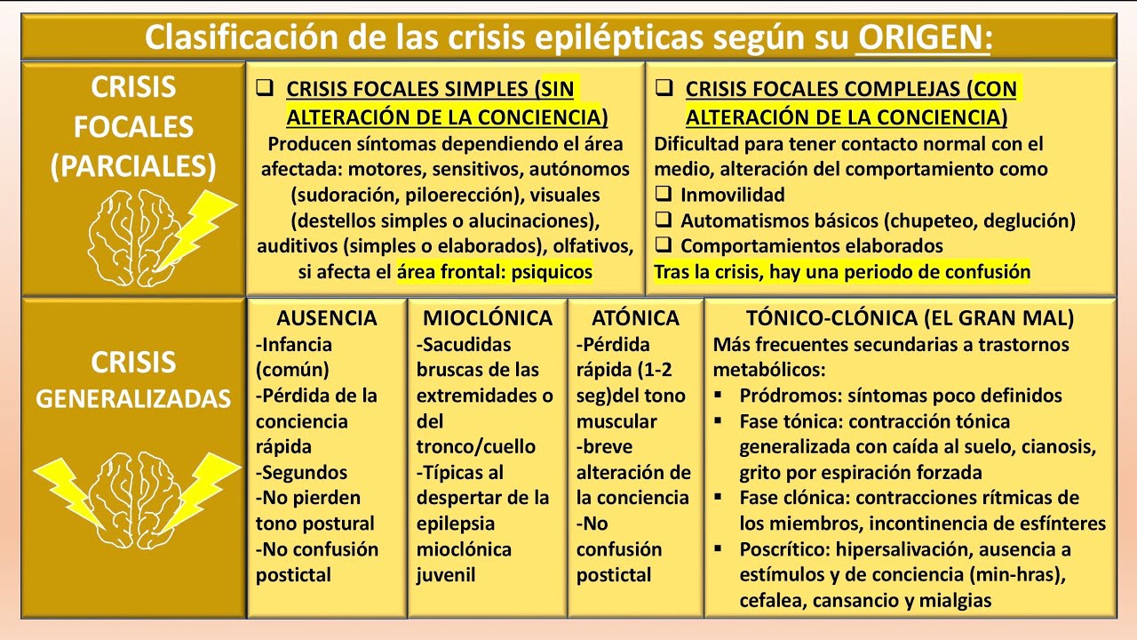EPILEPSIA Clasificación, fisiopatología, diagnóstico y tratamiento #enarm gpc