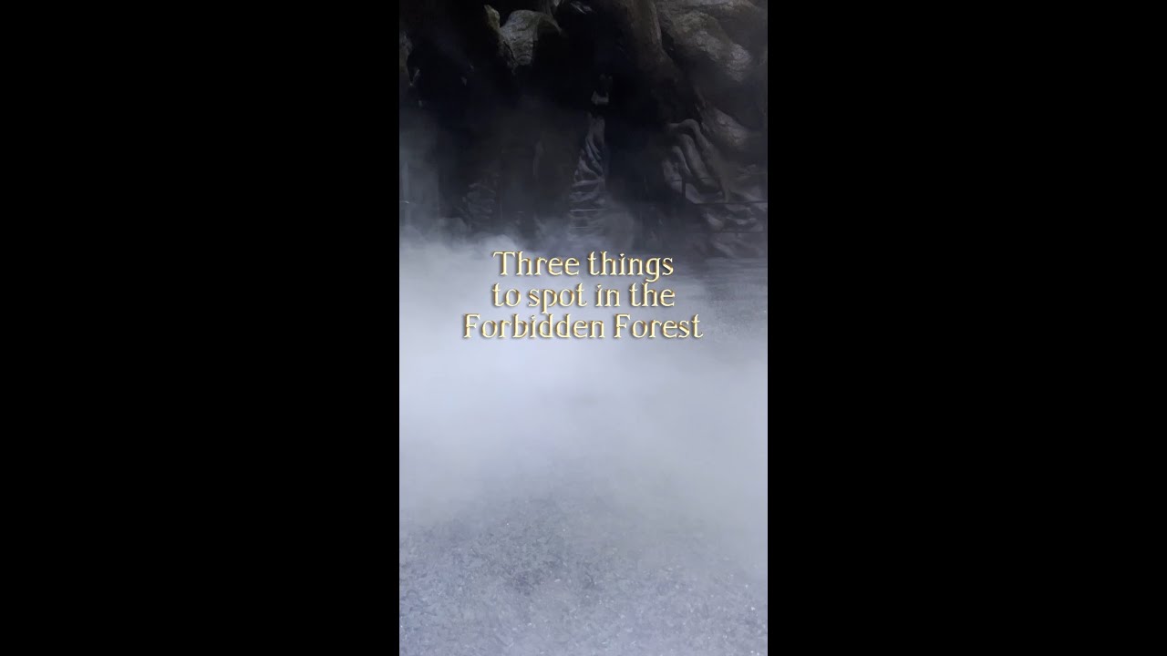 The Forbidden Forest hides many secrets...