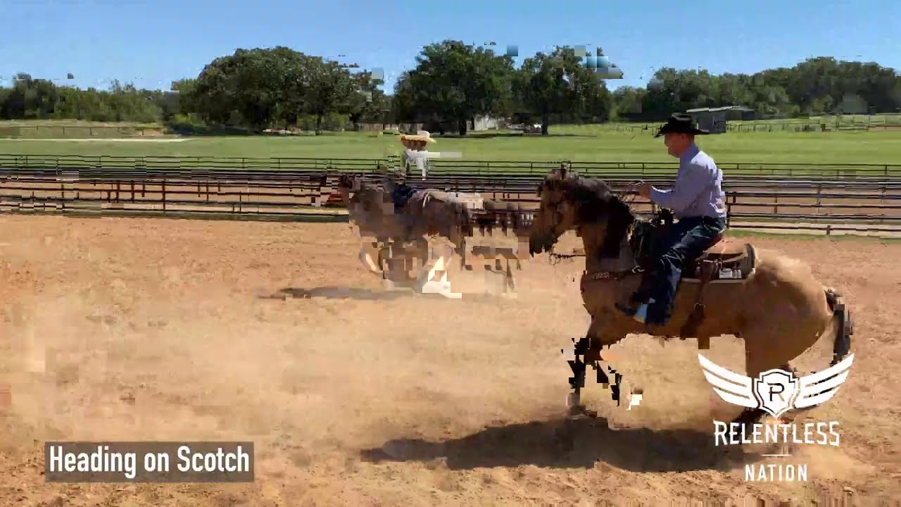 Trevor Brazile Helping Young Horses Lock on to the Steer