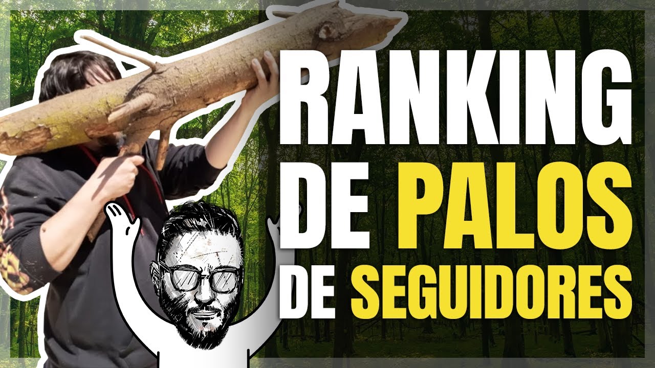 RANKING DE PALOS de mis seguidores (no piensen mal)