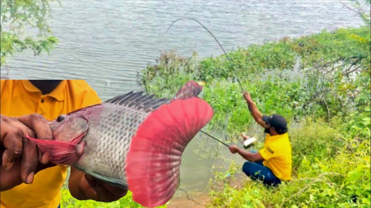 every time I catch a fish my hook gets bigger | fish || Fishing fish catching 