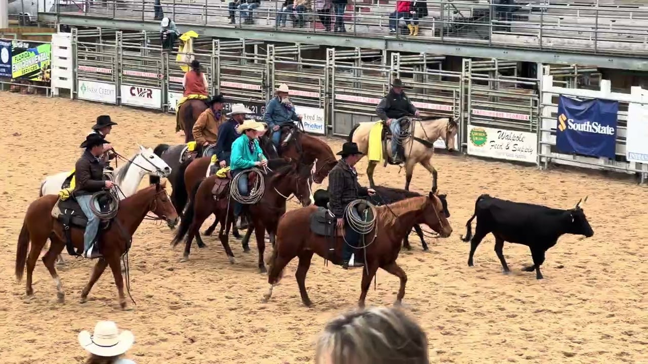 2026 Great Florida Cattle Drive: Role of Dogs