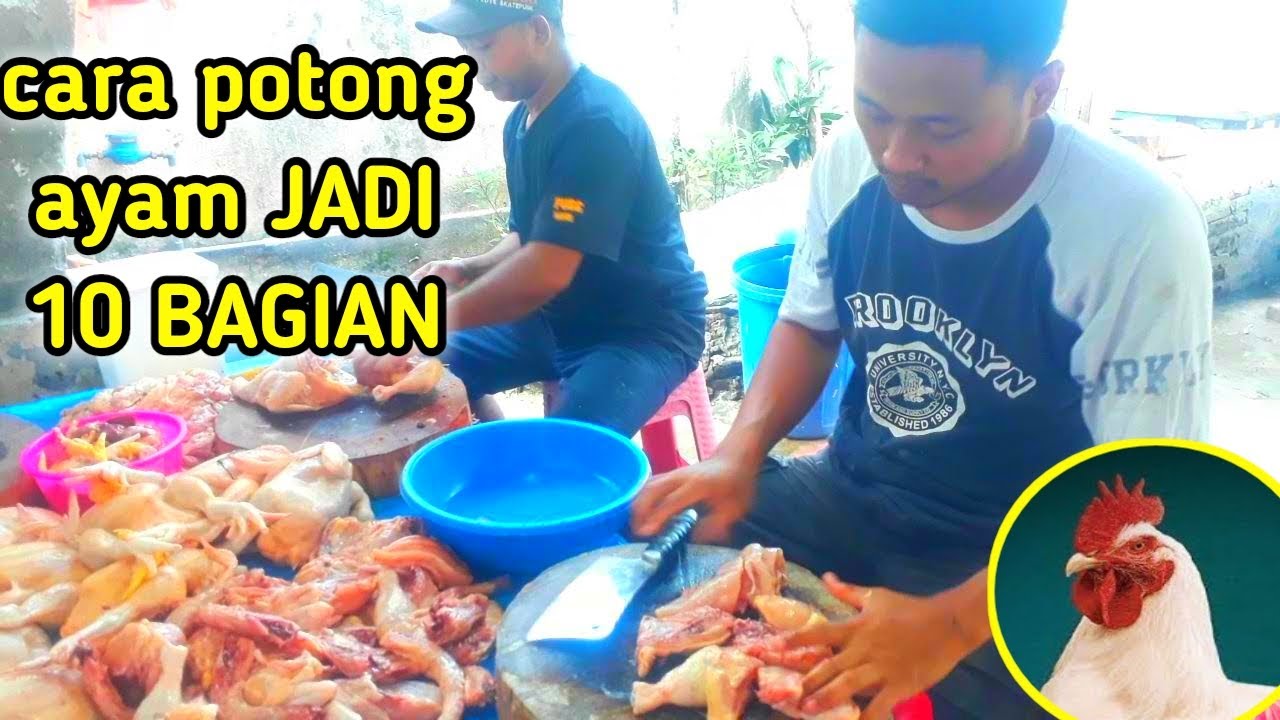 Cara potong ayam jadi 10 bagian!!kegiatan pedagang ayam #ayam broiler