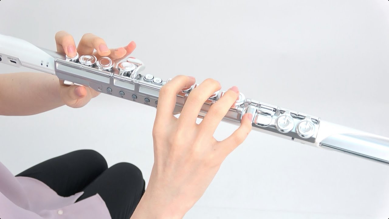 “Playing with flute fingering” Roland Aerophone Brisa #07