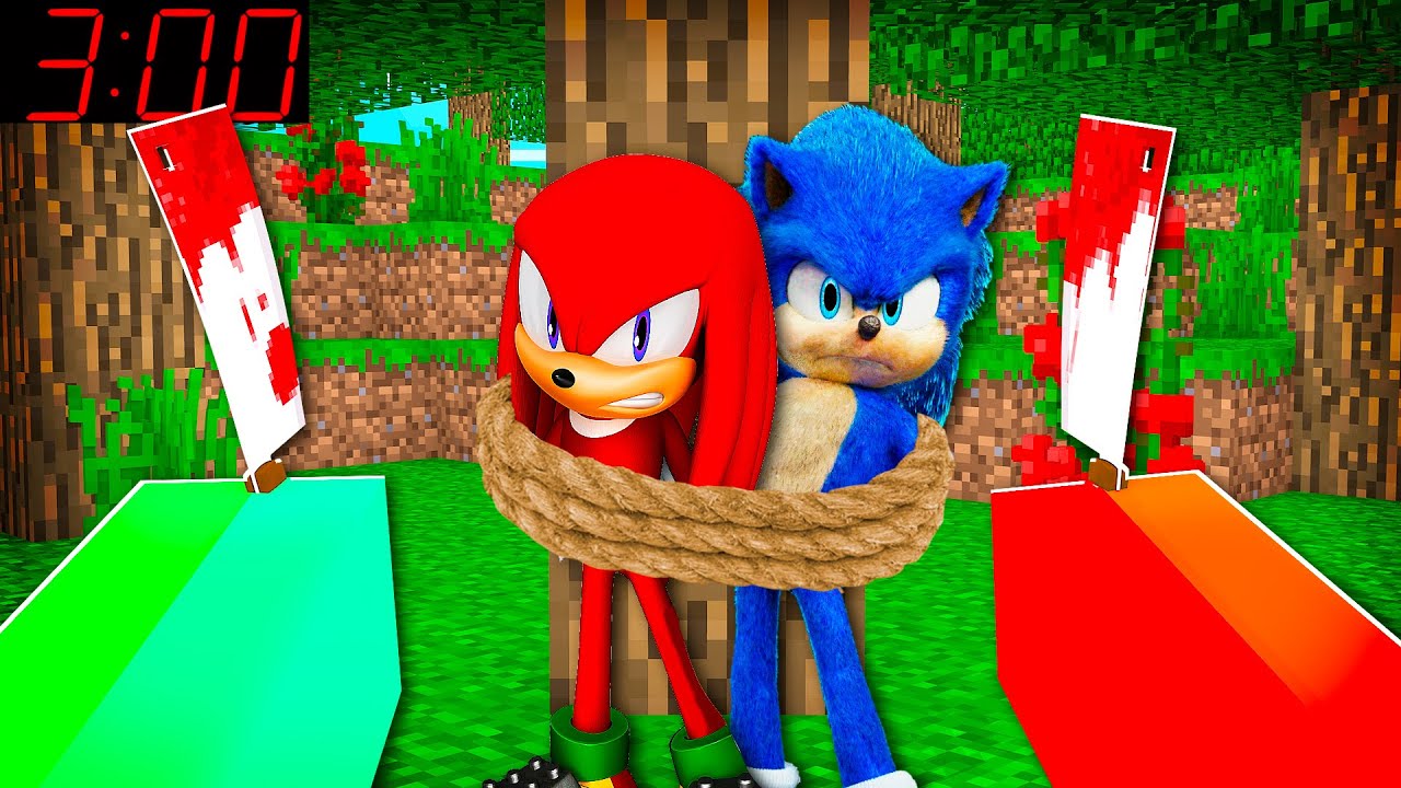 J'AI ATTRAPER SONIC 2 & KNUCKLES Sur MINECRAFT !