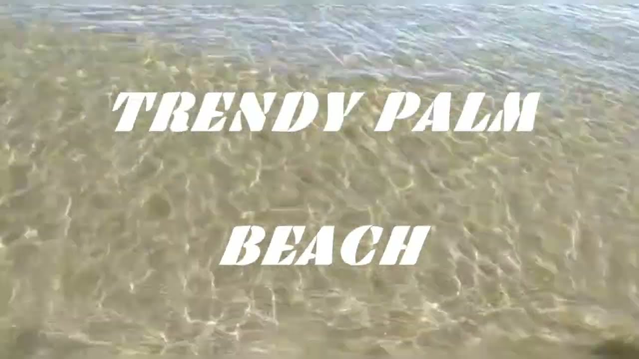 trendy palm beach otel 🏖️🌴