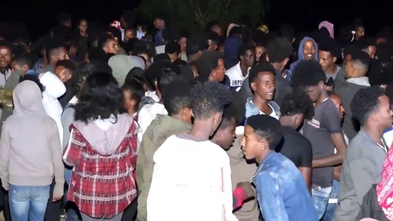 New Eritrean guayla Ngdet ዛውል part 9