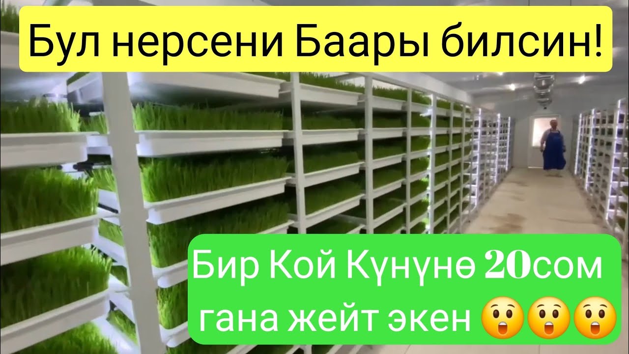 Эң Мыкты Тоют Өндүрөт 0704-01-18-17 