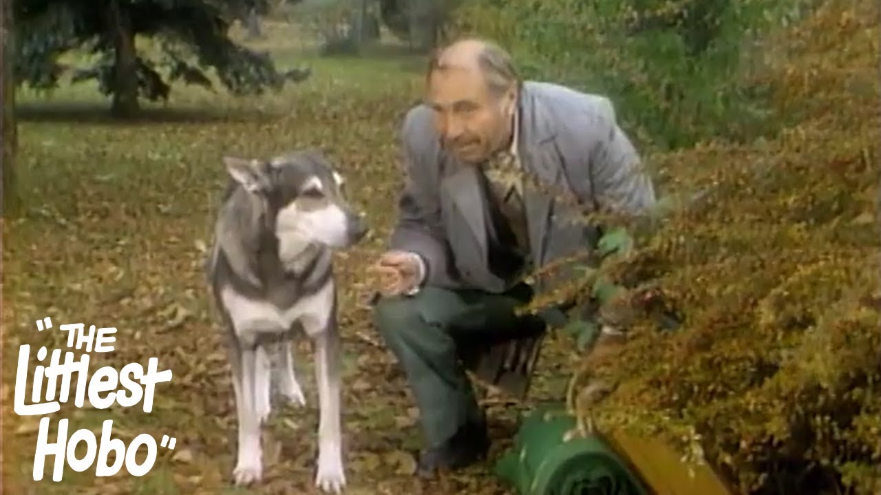 Дальнейшие приключения Вилли и Кейт | Самый маленький бродяга | Сезон 1 | Эпизод 24