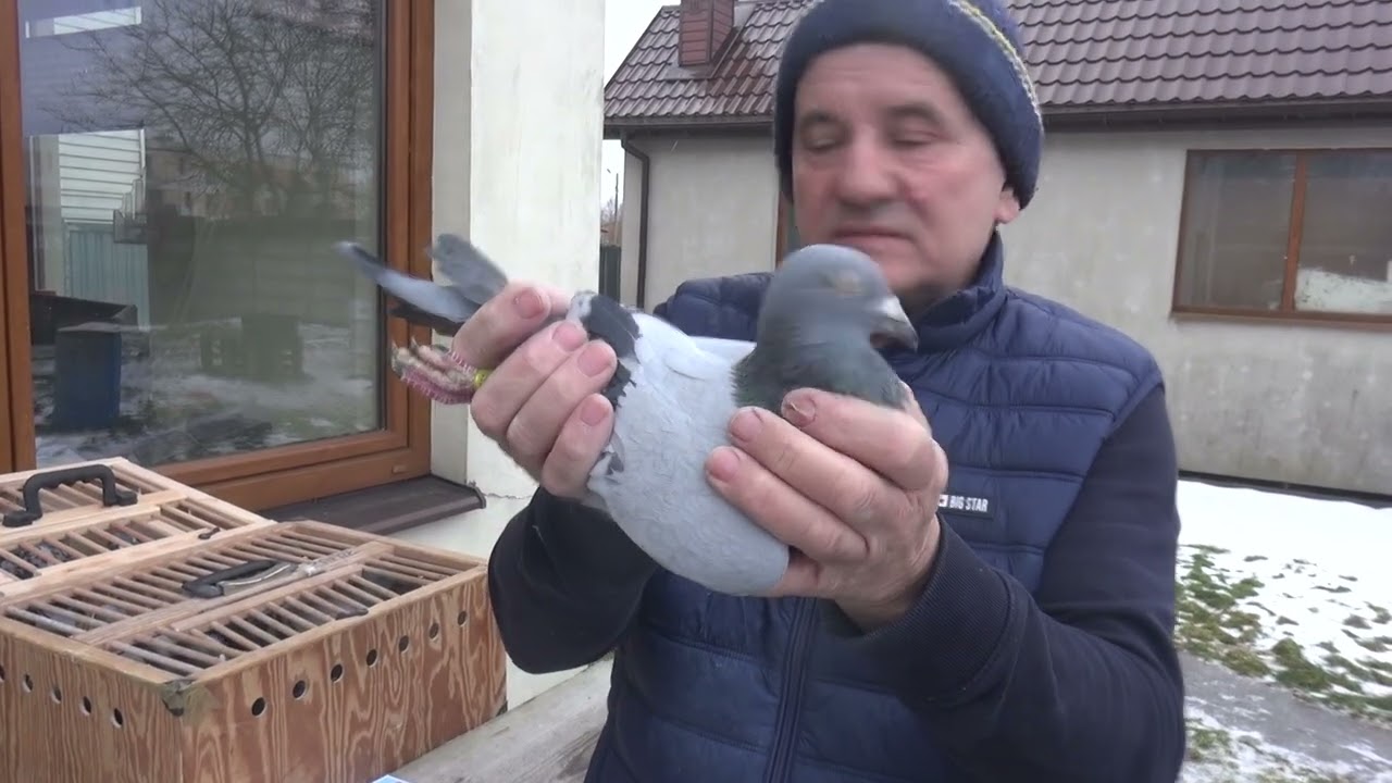 HURRICAN 51 -V MIEJSCE KAT. C K&K.KUBICCY TEL: 513 016 809