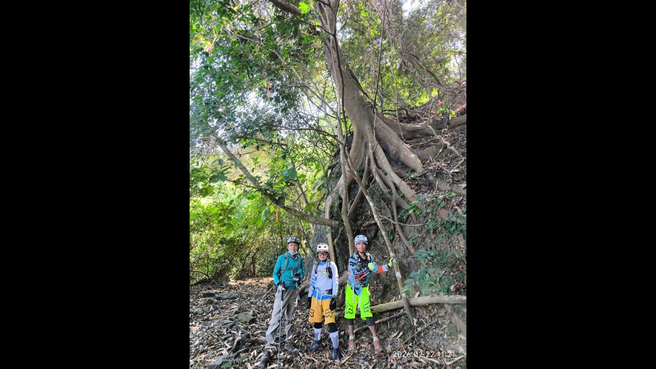 美濃探路~ 竹頭山路
