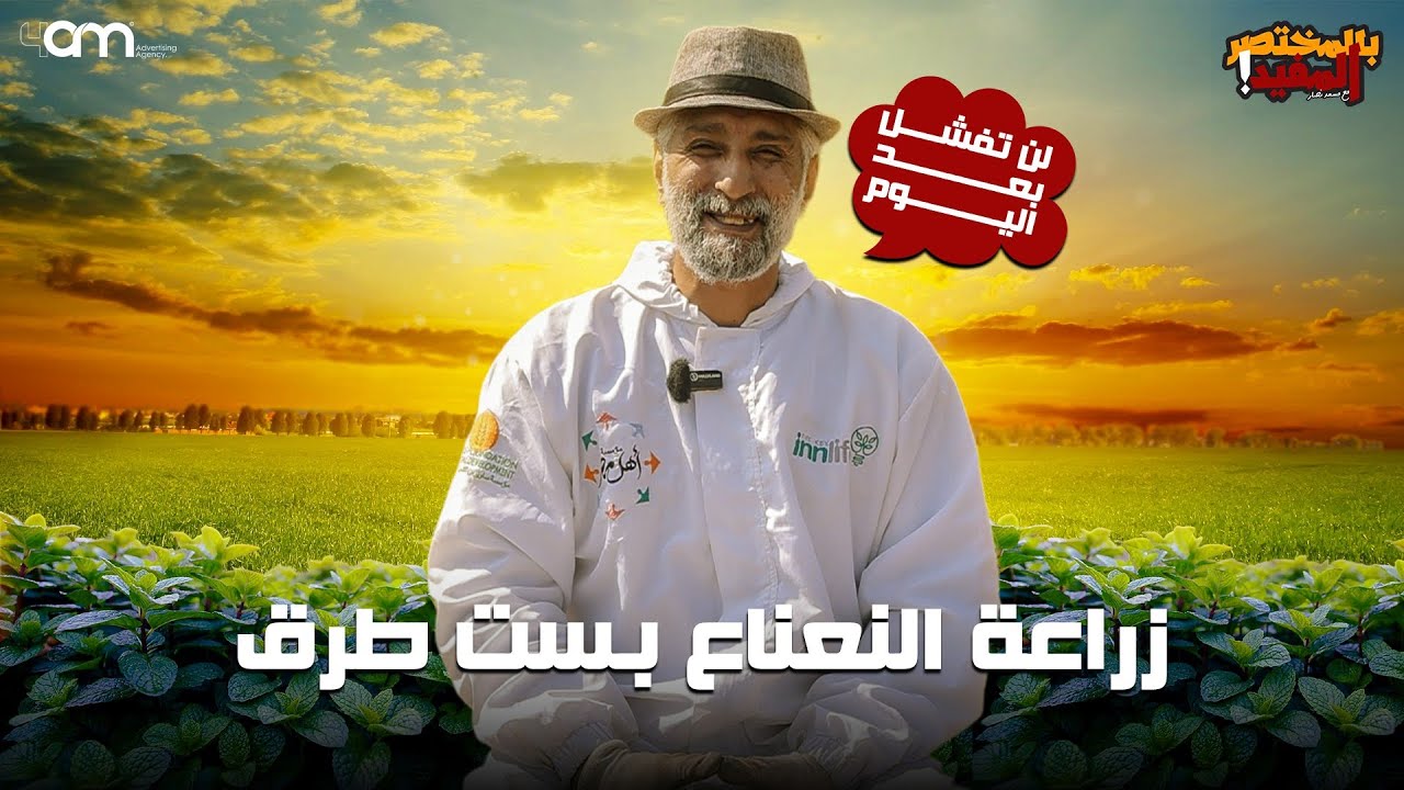 لماذا نفشل في زراعة النعناع - الجديد في زراعة النعناع - أشهر الطرق في زراعته وطرق الرعاية والتسميد