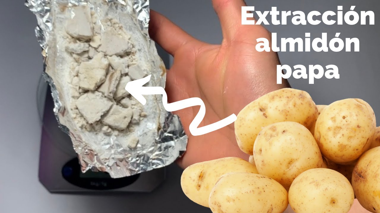 Extracción almidón de papa