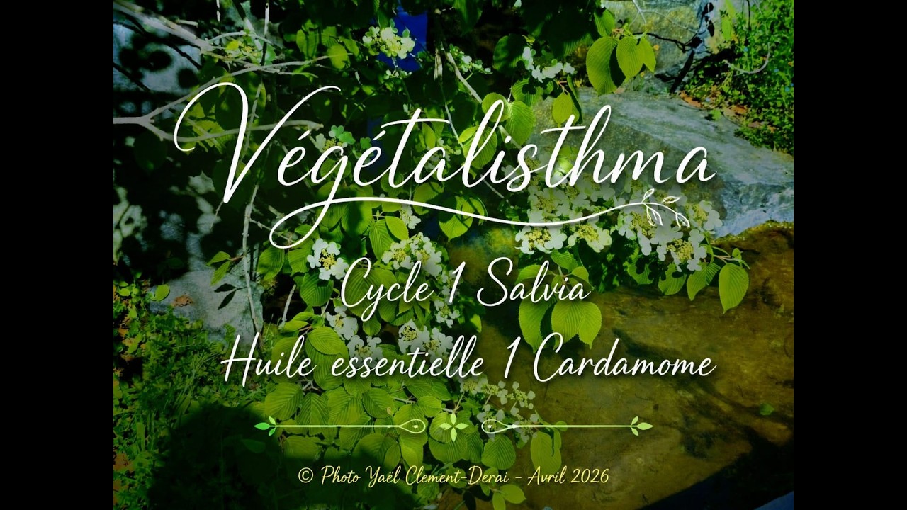Méditation olfactive avec l’huile essentielle de cardamome