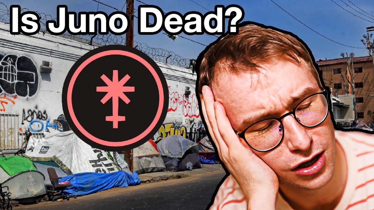 What is Juno Network