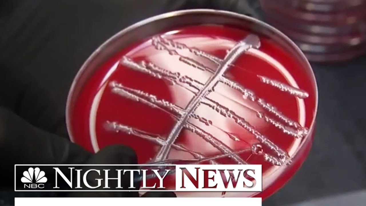Drug-Resistant Superbugs Are &lsquo;Fundamental Threat&rsquo; To Humans, WHO Says | NBC Nightly News
