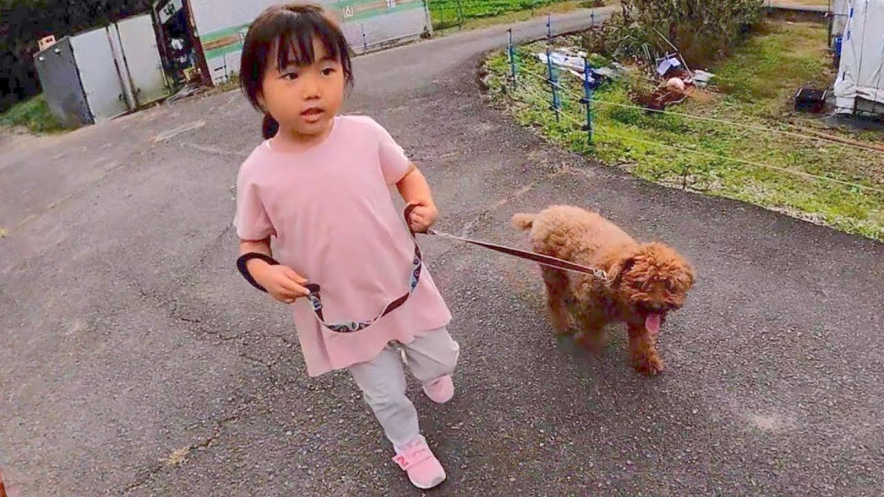 心優とプー助の散歩