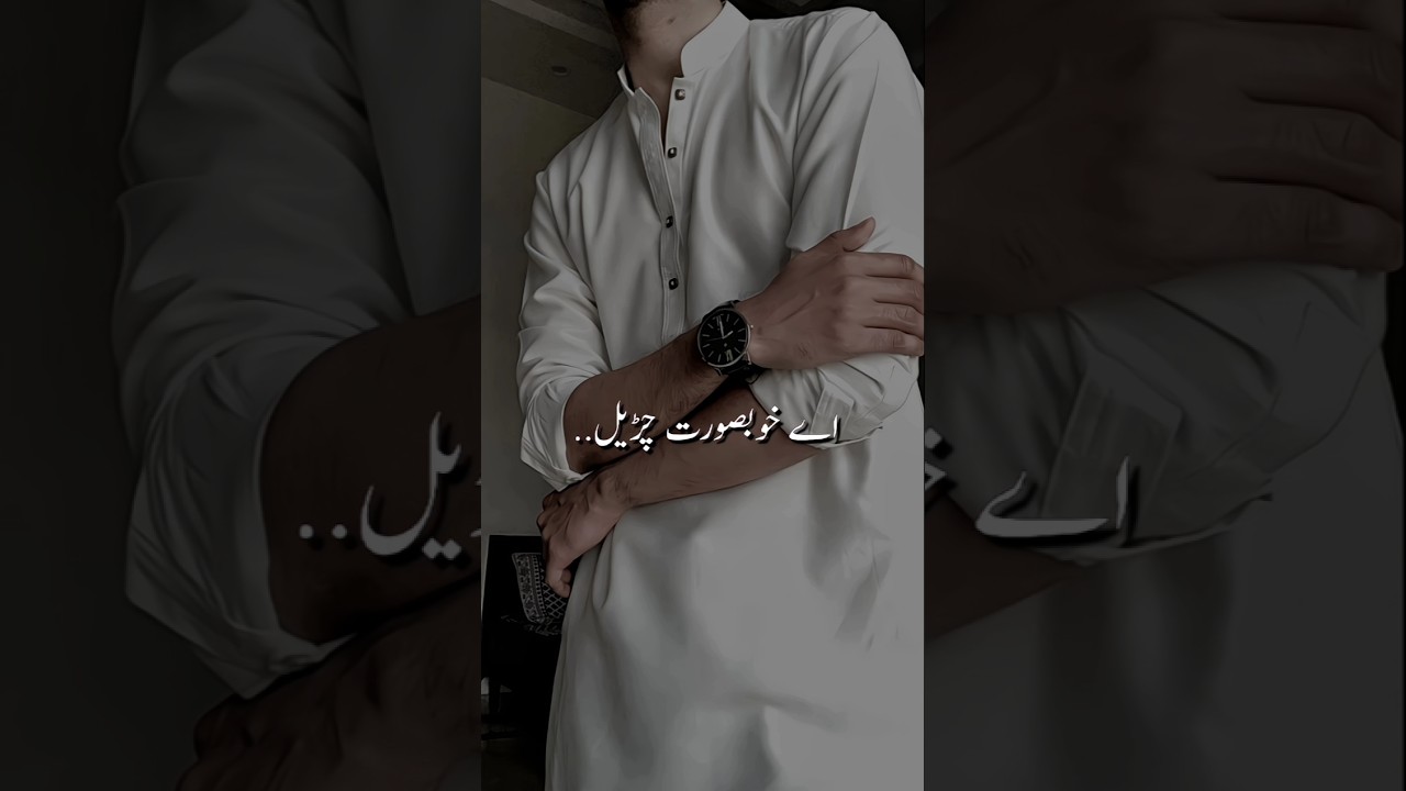 Funny Novel line😁❤ 