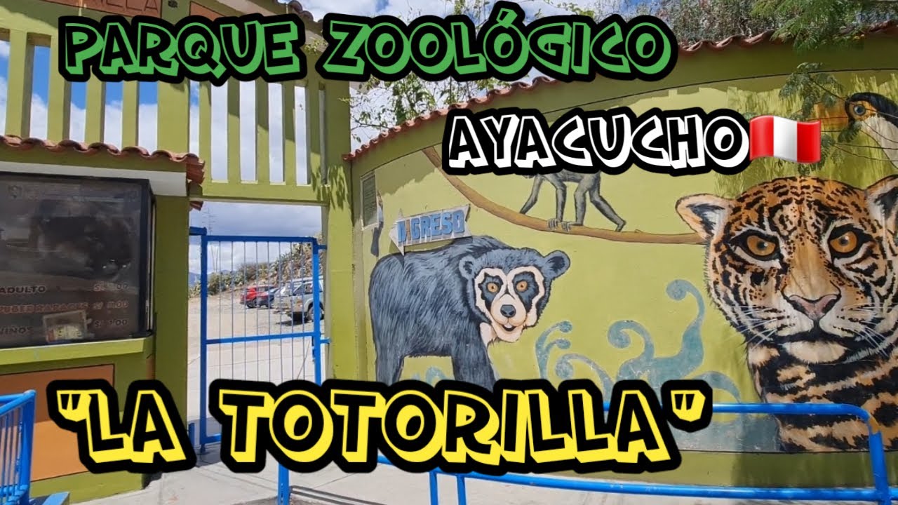 Aca llegan los animales rescatados del tráfico animal |Zoológico de la Totorilla en AYACUCHO🇵🇪|
