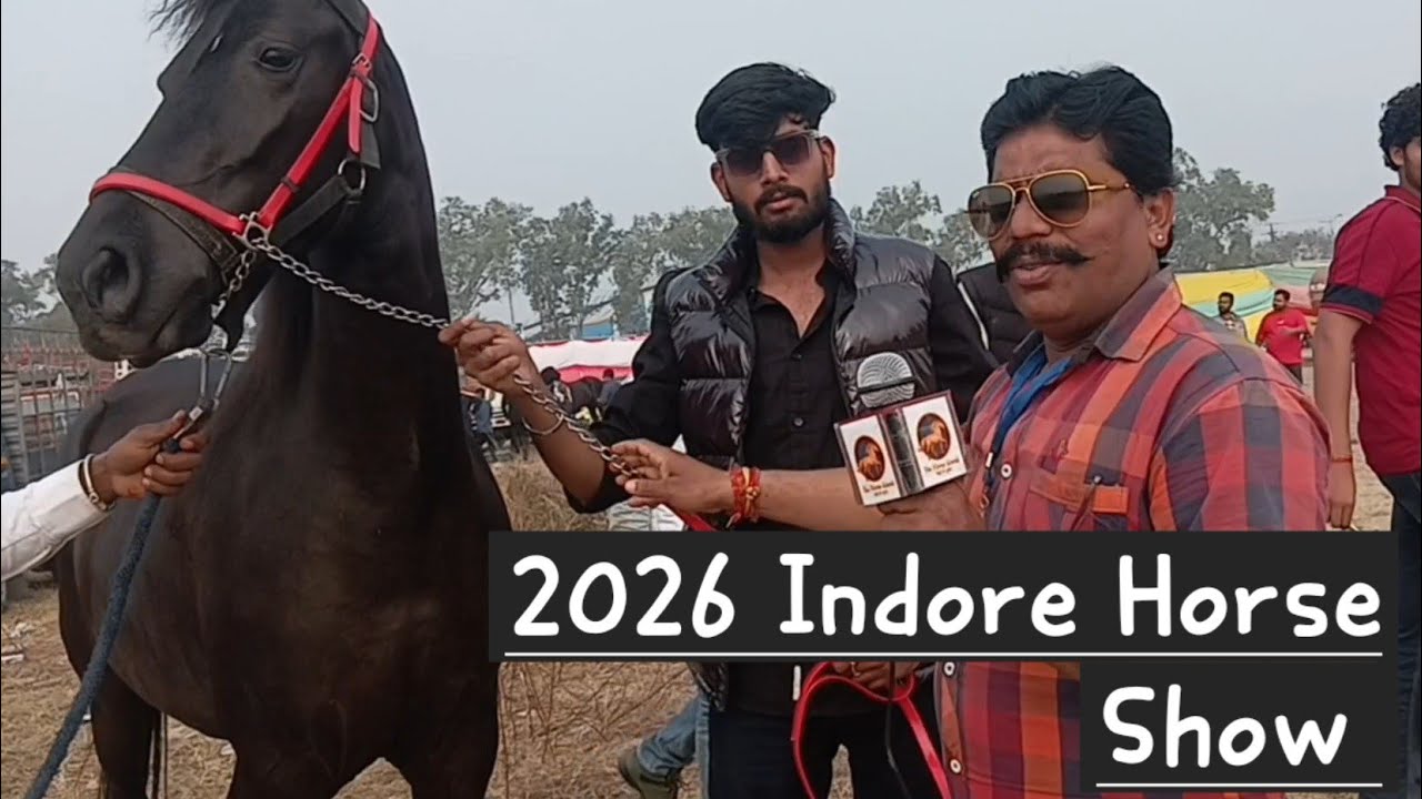  2026 Indore horse show #horseriding  #महिदपुर  